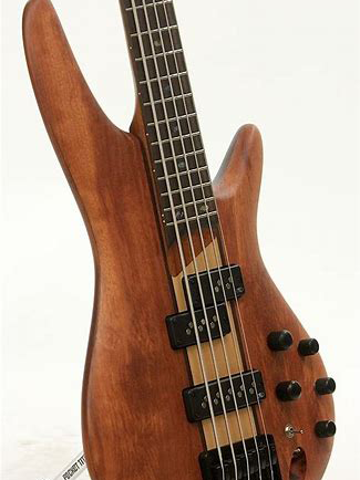 Electric Bass